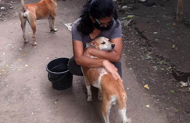 street-crusader-contact-2