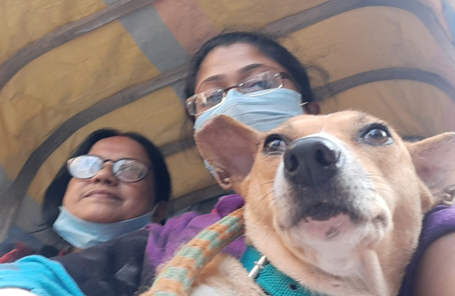 street-crusader-contact-3