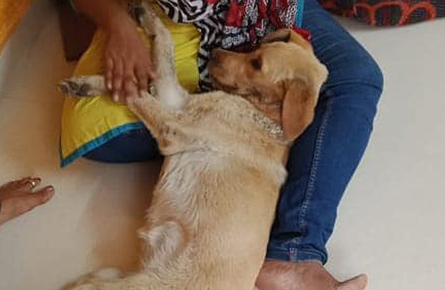 street-crusader-contact-4